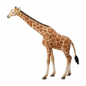 CollectA Animal Figurine Reticulated Giraffe