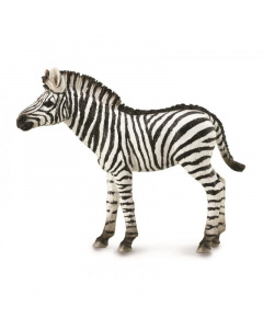 CollectA Animal Figurine Zebra Foal